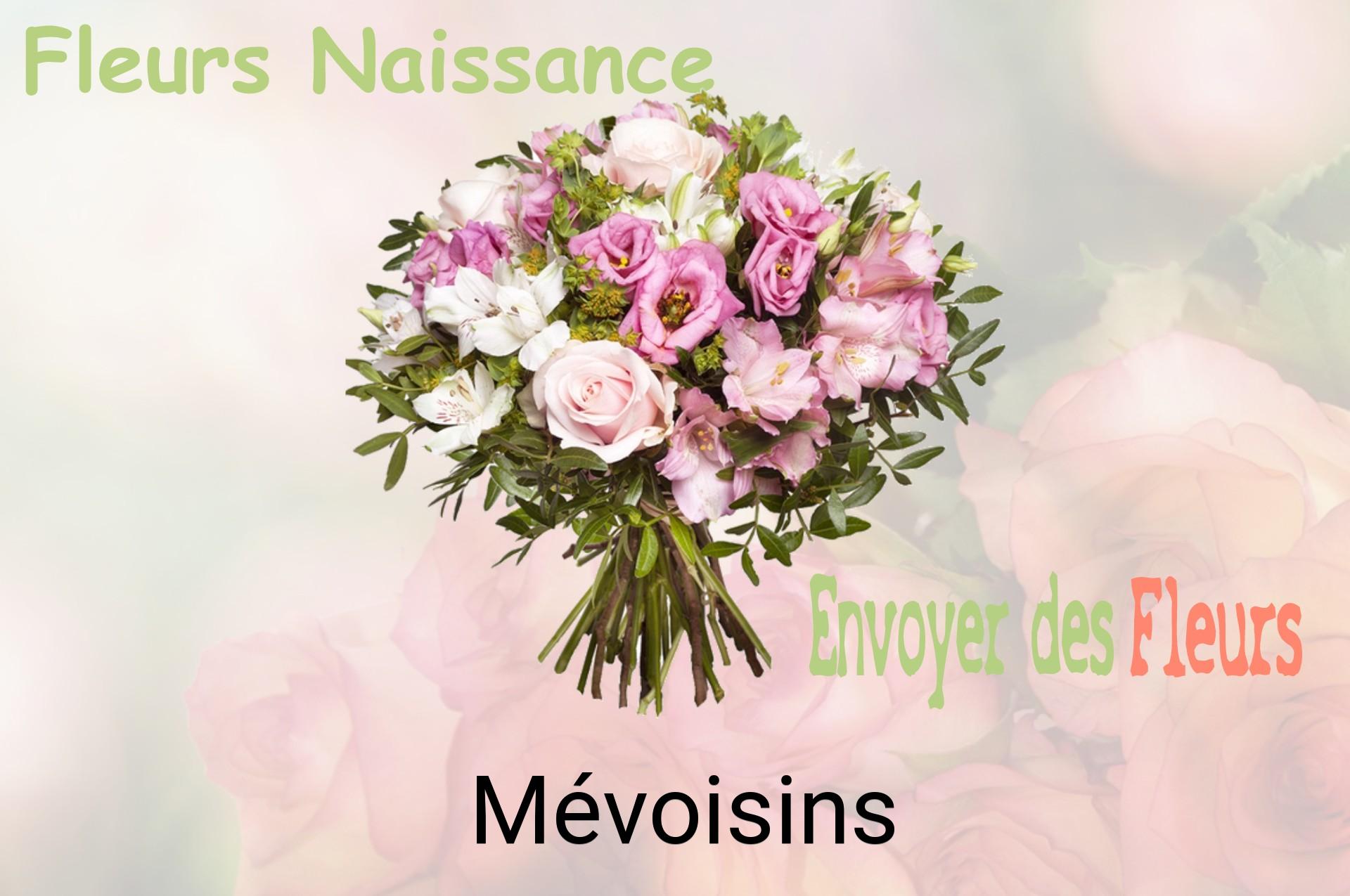 Bouquet de fleurs de naissance livré à Mévoisins